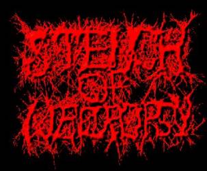 logo Stench Of Necropsy